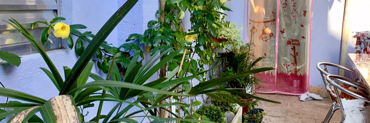 marcoscasthelly's profile banner image
