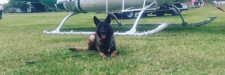 mauricio038's profile banner image