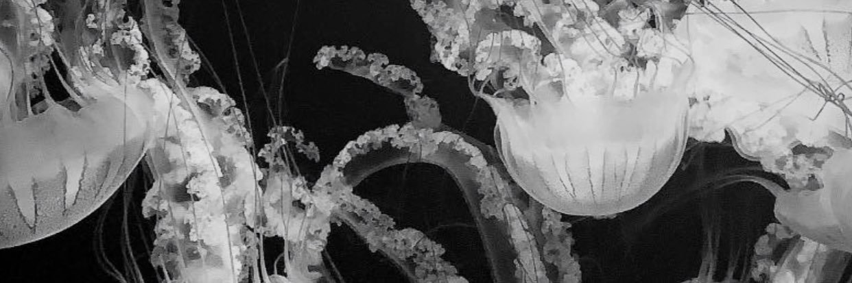 al. banner