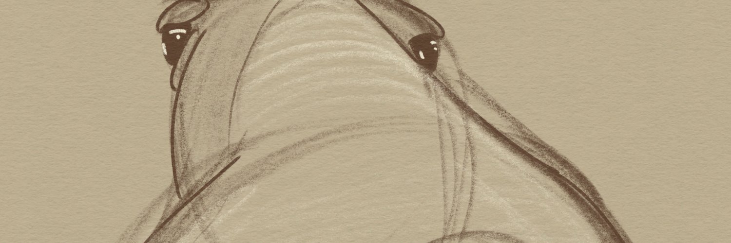 shannon banner