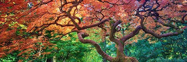 Watcher19590528 Profile Banner