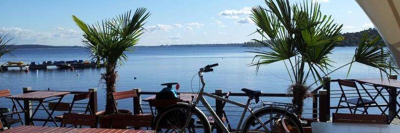 DonQuixote 🇺🇦 banner