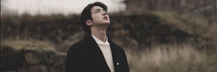 ᥫ᭡ Jin Hyung 🇮🇷🇮🇱 ✧˚ · . banner