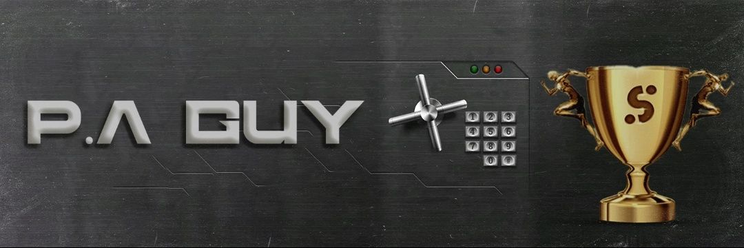 P.A 2 All Punters banner