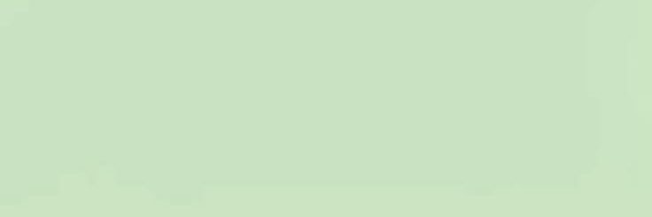 𓏼 ᪲°˳𓈒ฺ 𝗖asimir banner