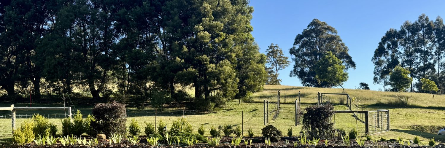 Country Lad🇦🇺 banner