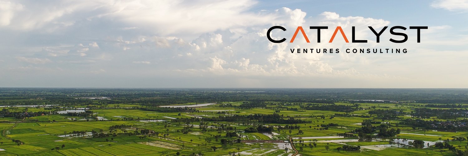 Catalyst Ventures Consulting's banner