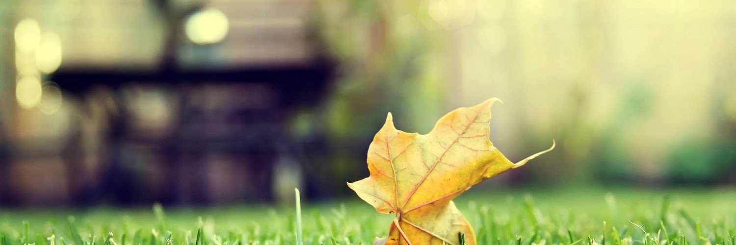MaisBB's profile banner image