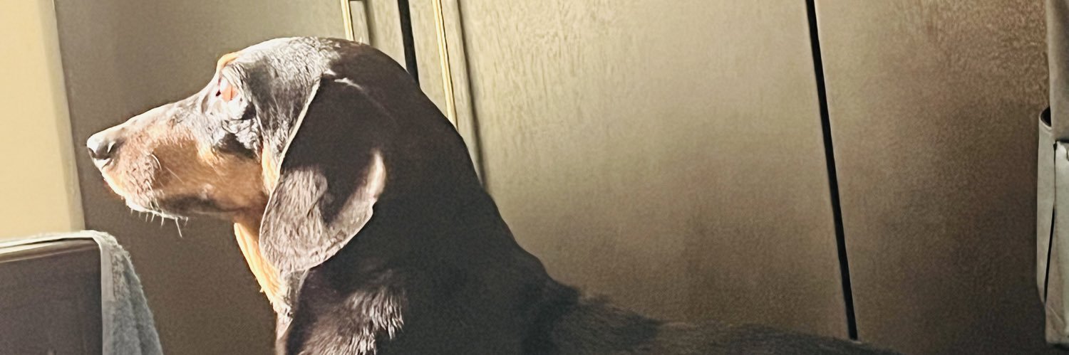 hroherr's profile banner image