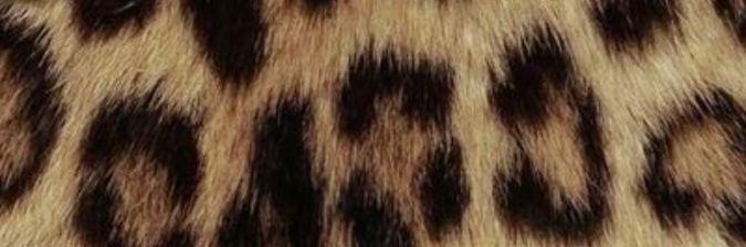 𝓷𝓪𝔂𝓵🦦ྀི || banner