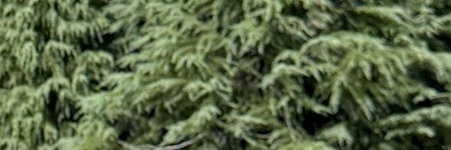 🫂 banner