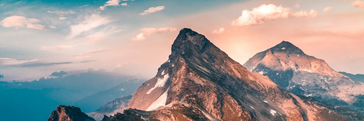 whitesteveaoki's profile banner image