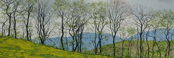 Elizabeth W. Boyer banner