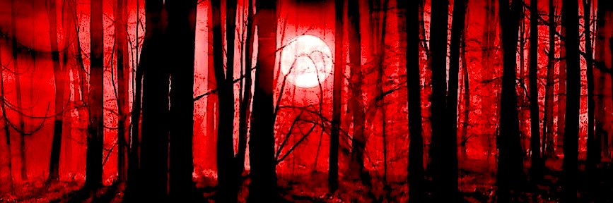 FRIDAY THE 13TH~ARCHIVE's banner