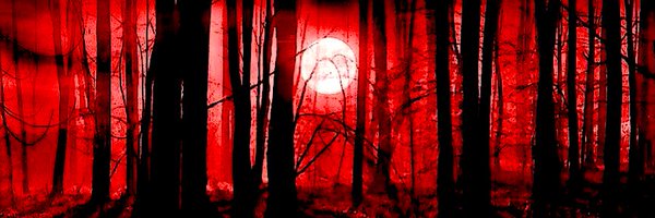 F13ARCHIVIST Profile Banner
