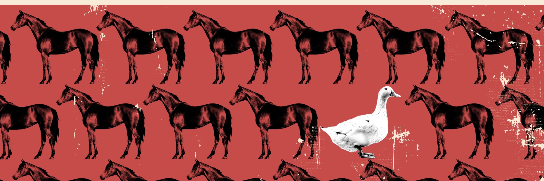 nickdesantis's profile banner image