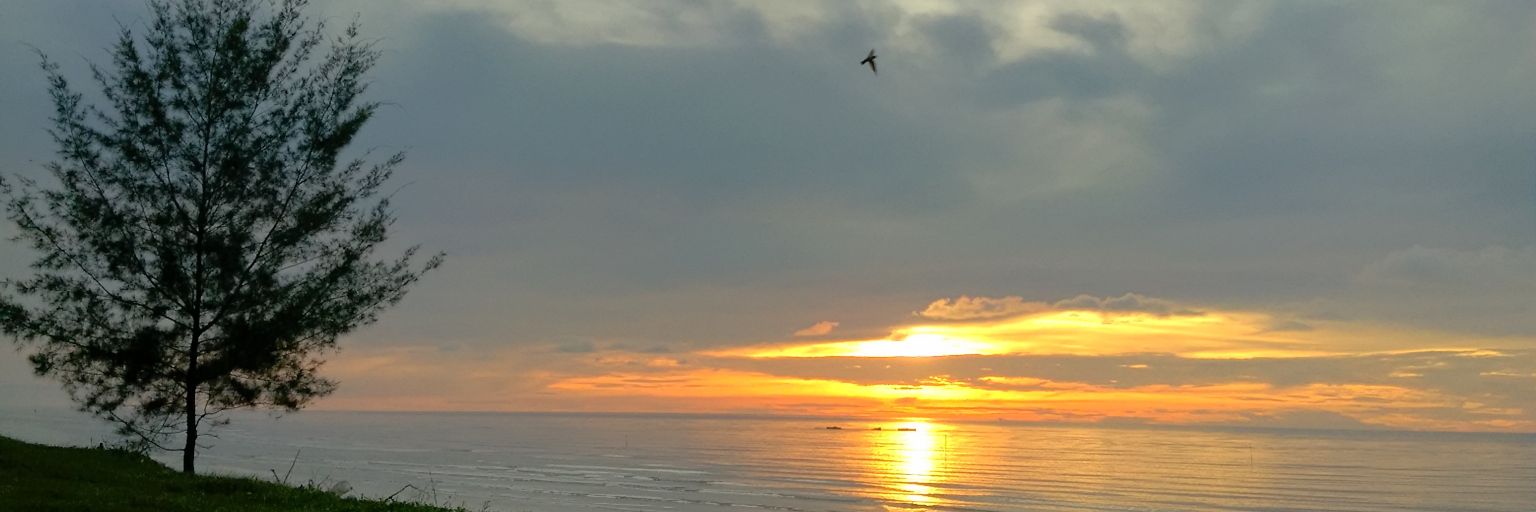 chewonit's profile banner image