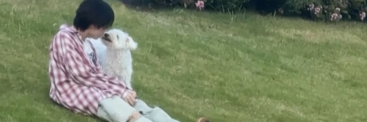 𝒜𝒾 banner