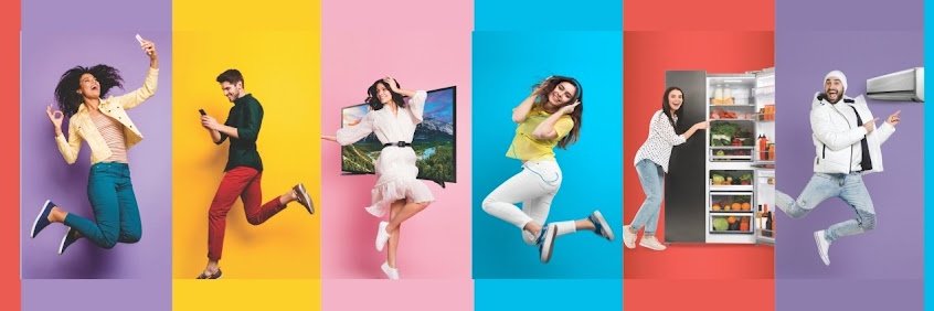 Lotus Electronics banner