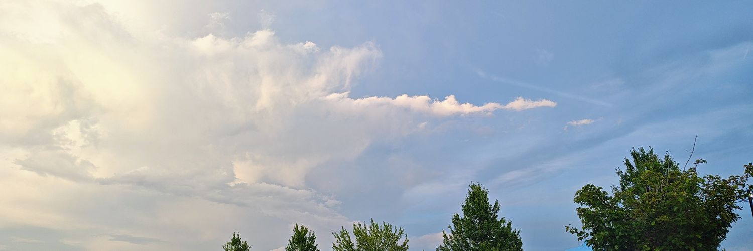 Mechanical Ninja banner