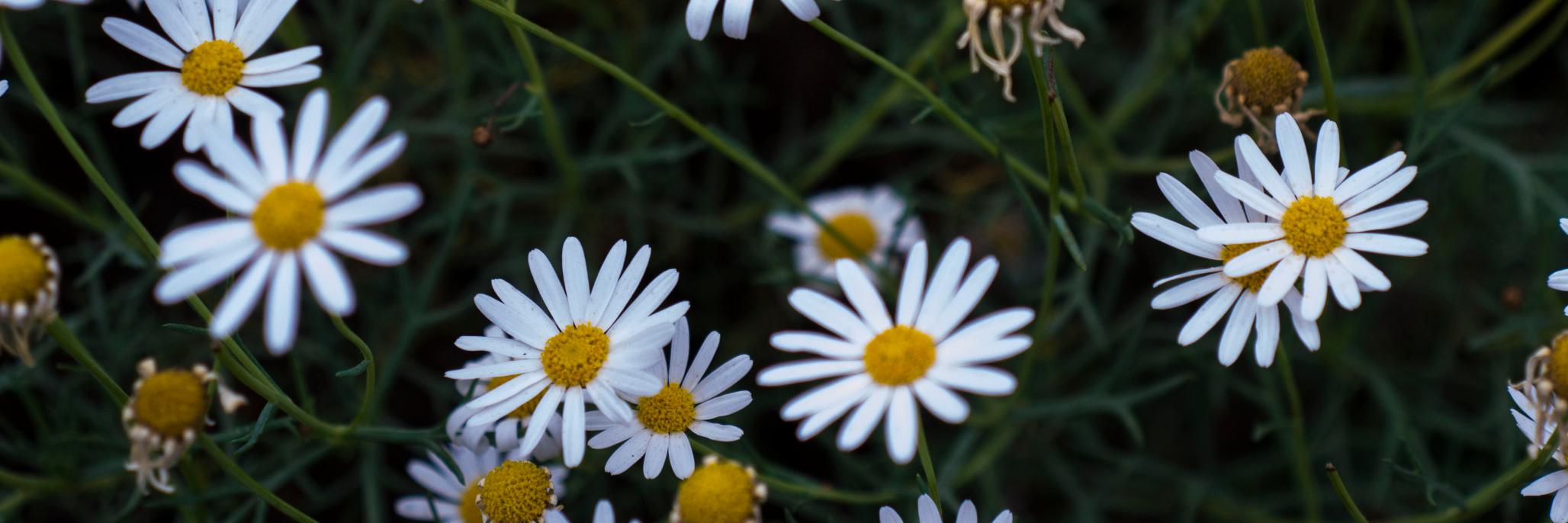 hourig94's profile banner image