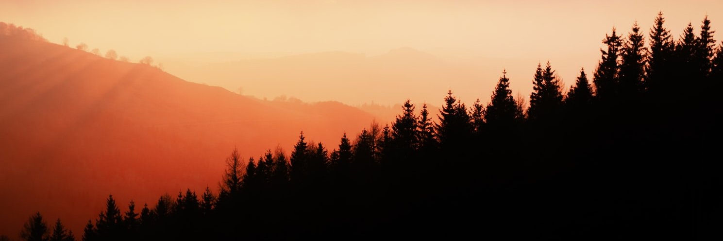 DoornboschG's profile banner image