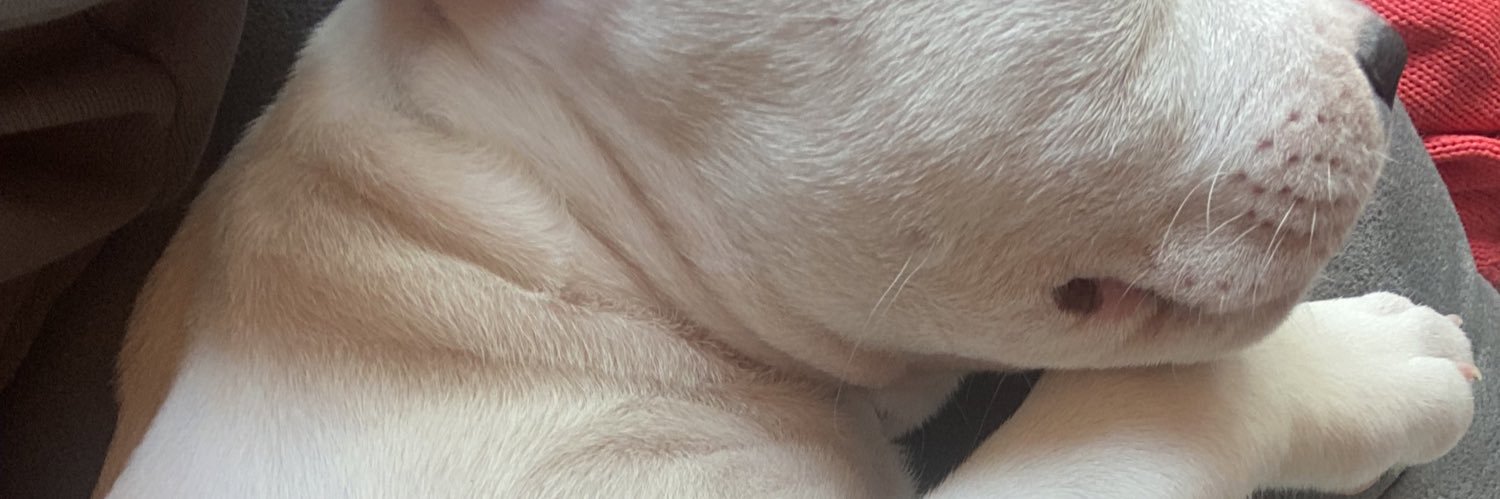 Noela banner