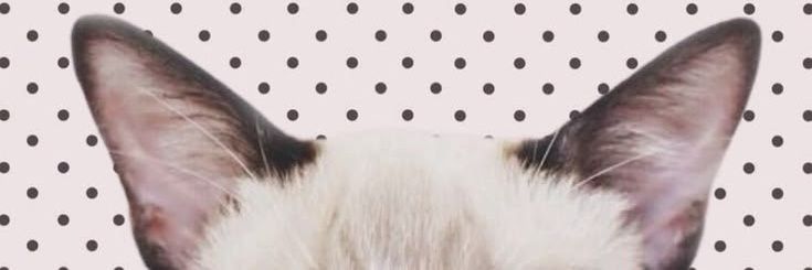 hai, lia²⁶ banner