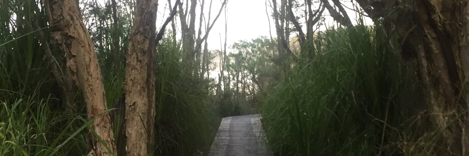 A L Y banner