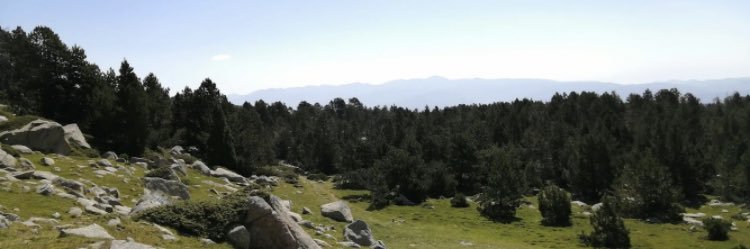 iirenerey's profile banner image