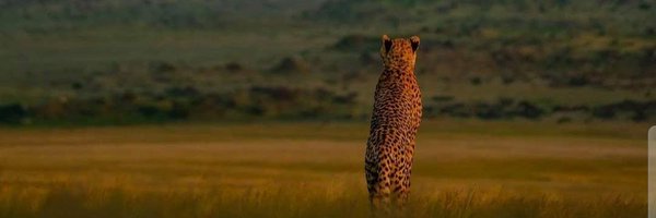 SanchitaTalks Profile Banner