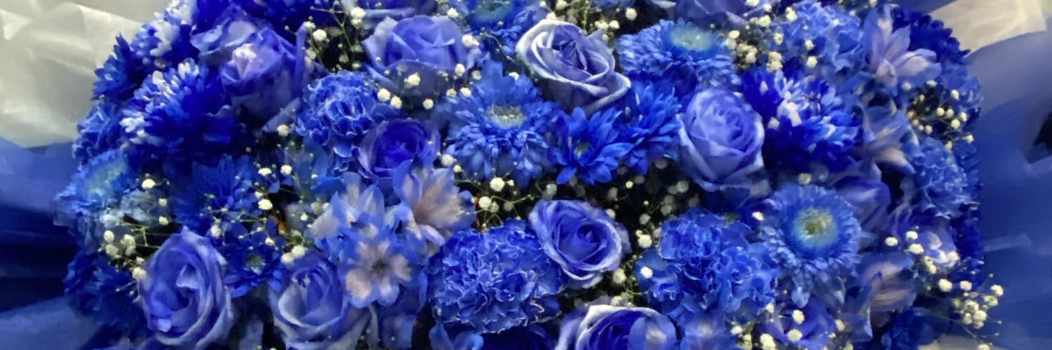 iris_hitme's profile banner image
