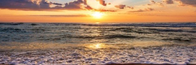 The Mind50_The Heart50 banner