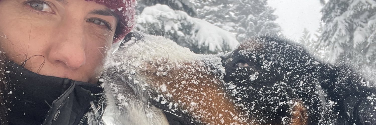jenplck's profile banner image