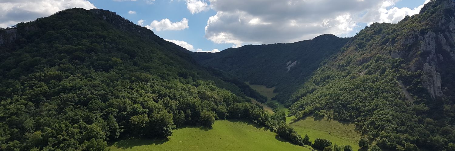 clecoeur's profile banner image