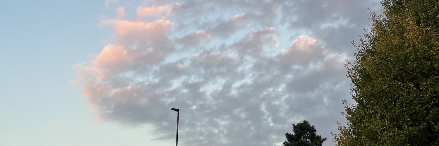 nyan_mooon_'s profile banner image
