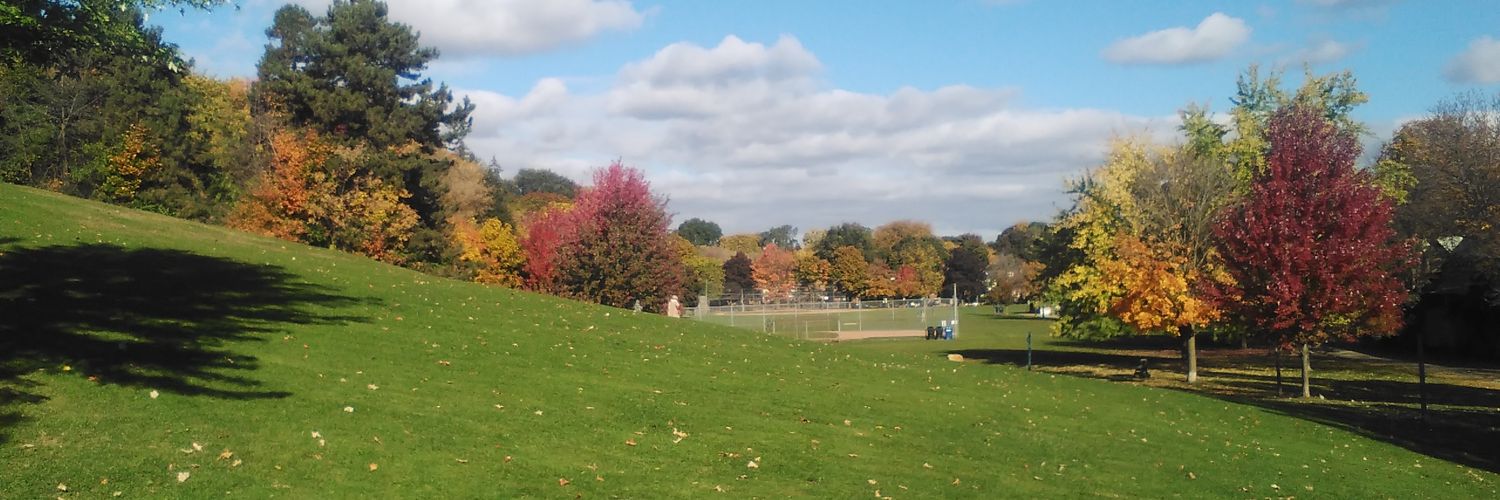 Kevin Scanlan banner