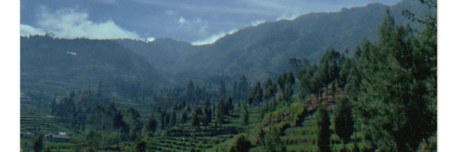 fima_NLFA's profile banner image