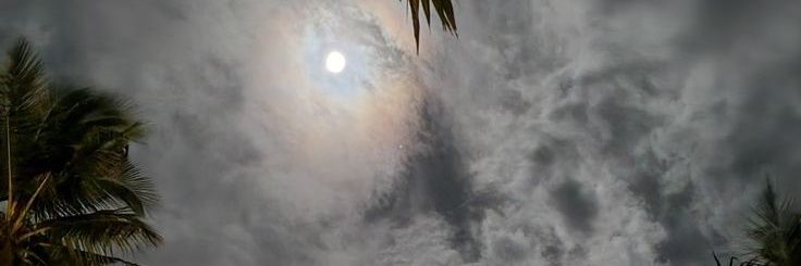 فلان. banner
