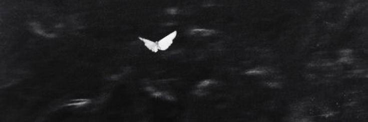 rumavinin's profile banner image