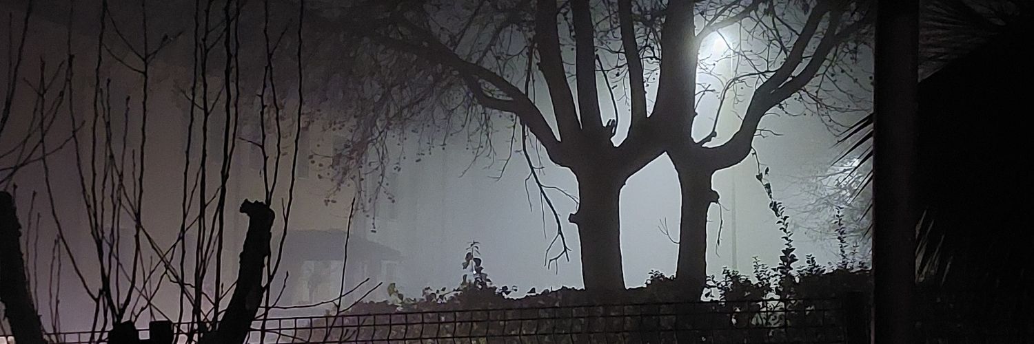 tinydany's profile banner image