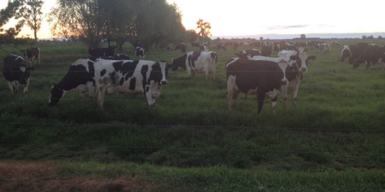 Paul Stammers banner