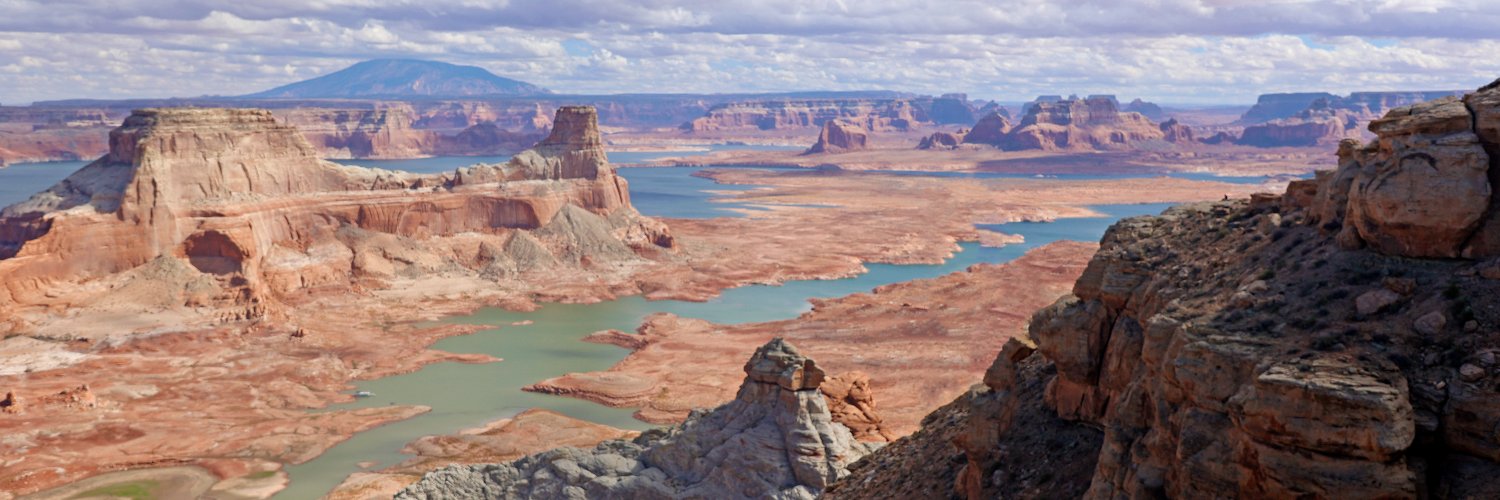 Muneki Samejima banner