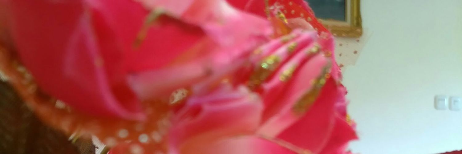 nilonjaiy's profile banner image
