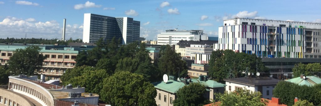 Anne Pitkäranta banner