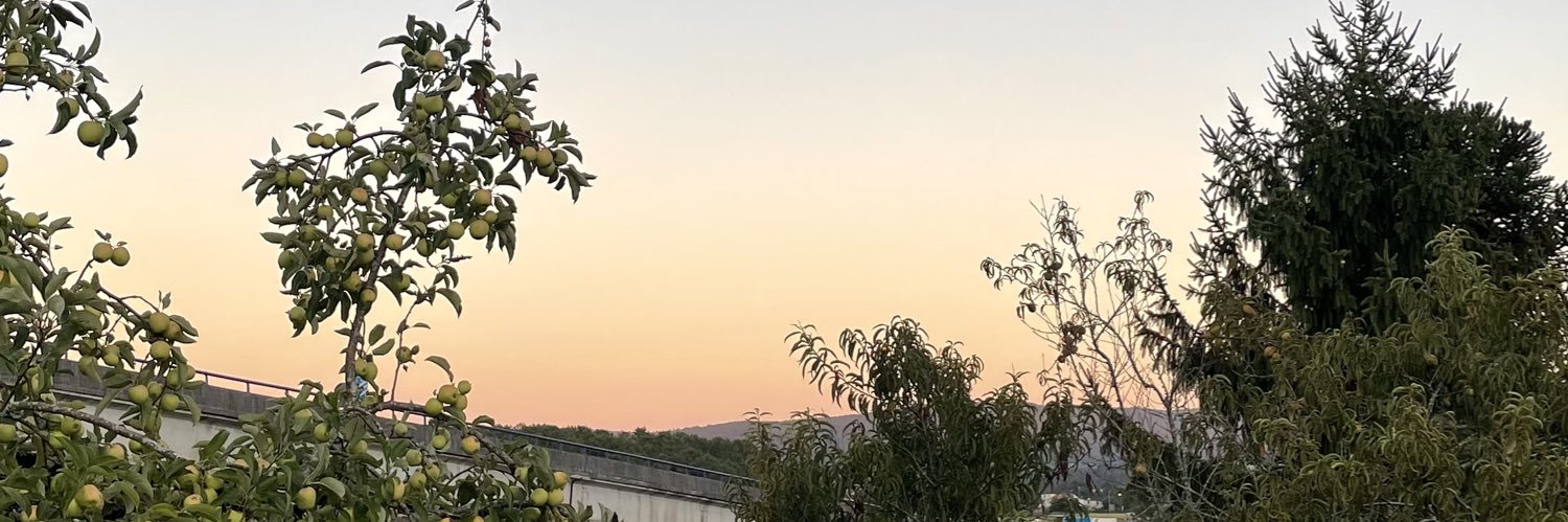 ainhoapinilla 🤠 banner