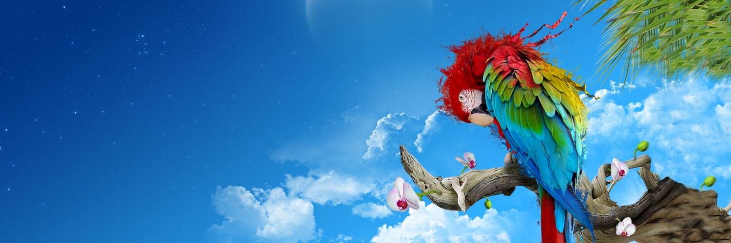 MettenDK's profile banner image