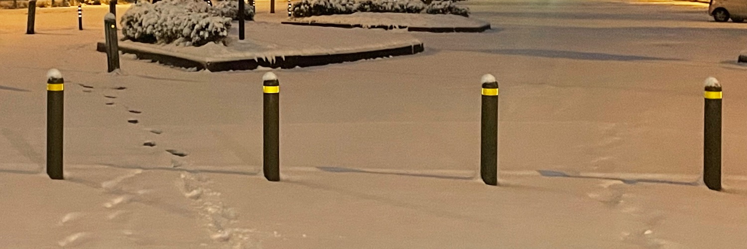 mark_noin's profile banner image