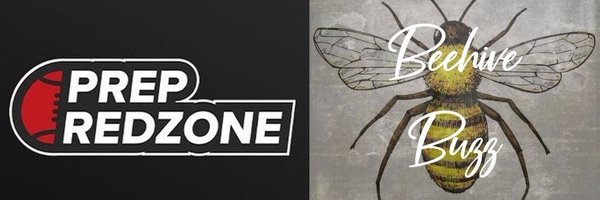 BeehiveBuzz_ Profile Banner