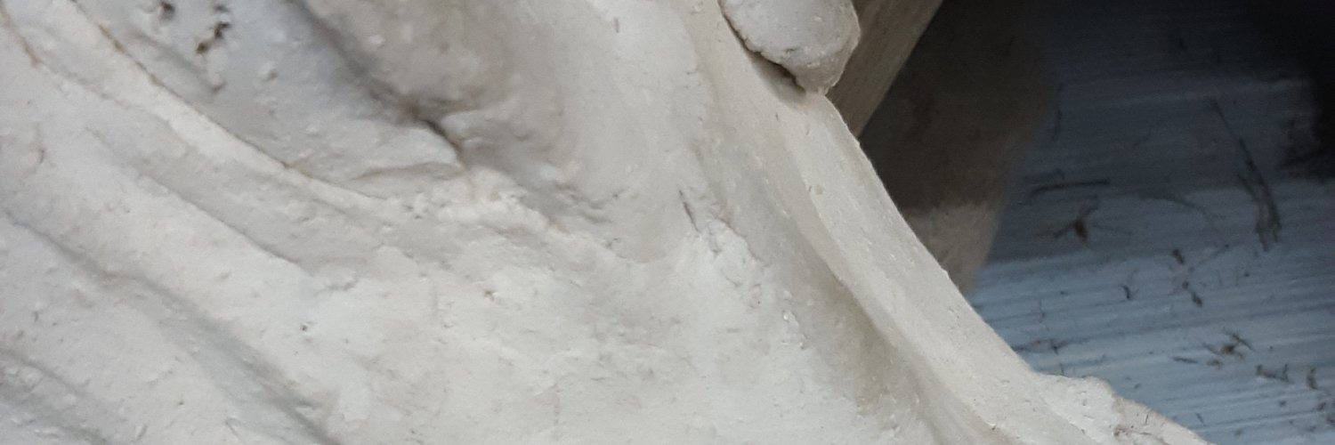 celinebelin's profile banner image